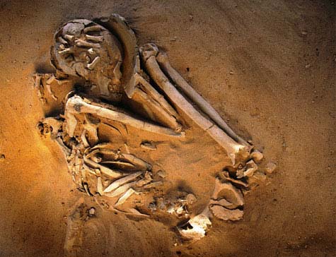 Sahara và những bí ẩn vùi trong cát, Bí ẩn lịch sử, Phi thường - kỳ quặc, bão xát, sa mạc, hài cốt, thi thể, sahara, bí ẩn, chôn vùi, tuyệt tác, khảo cổ, khám phá