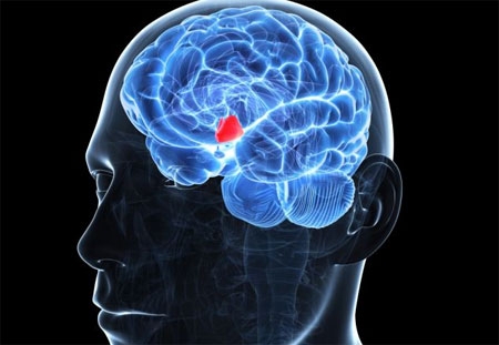 chìa khóa, trẻ mãi không già, cải lão hoàn đồng, lão hóa